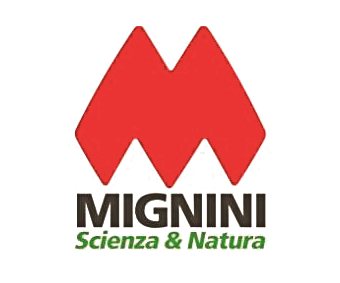 mignini12_0